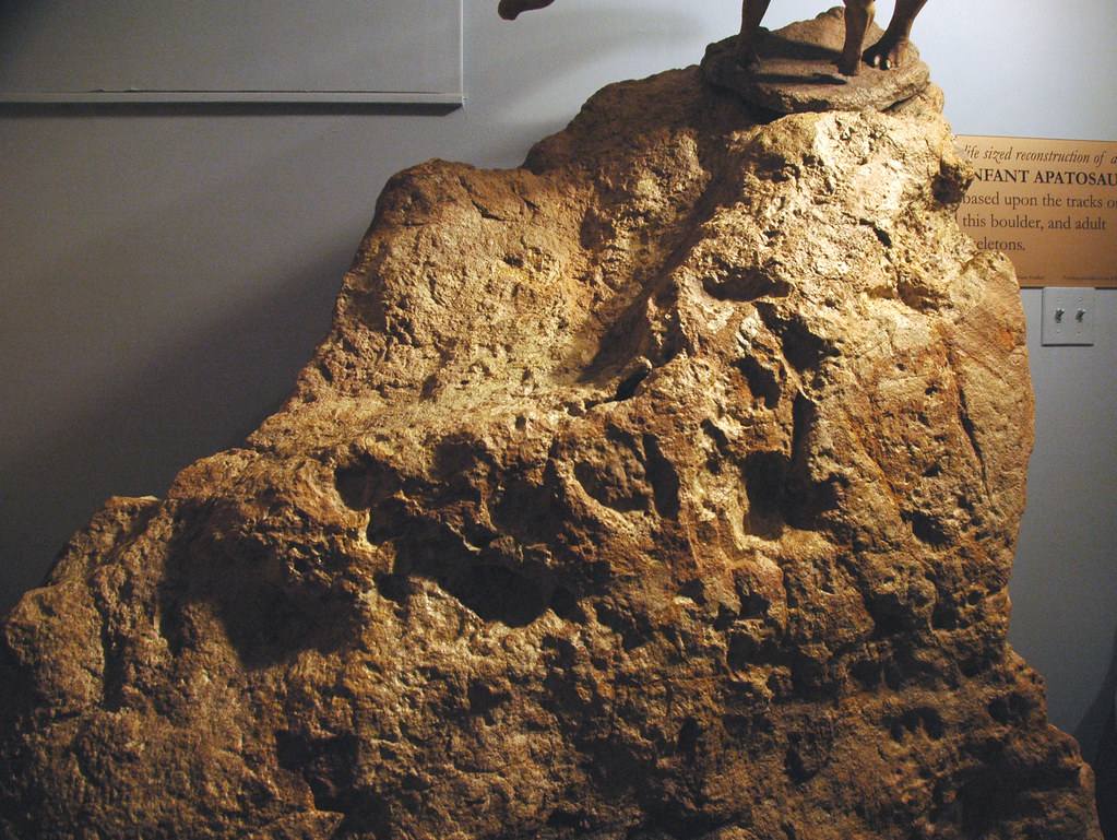Ancient Dinosaur Footprints Tell a Brand New Story