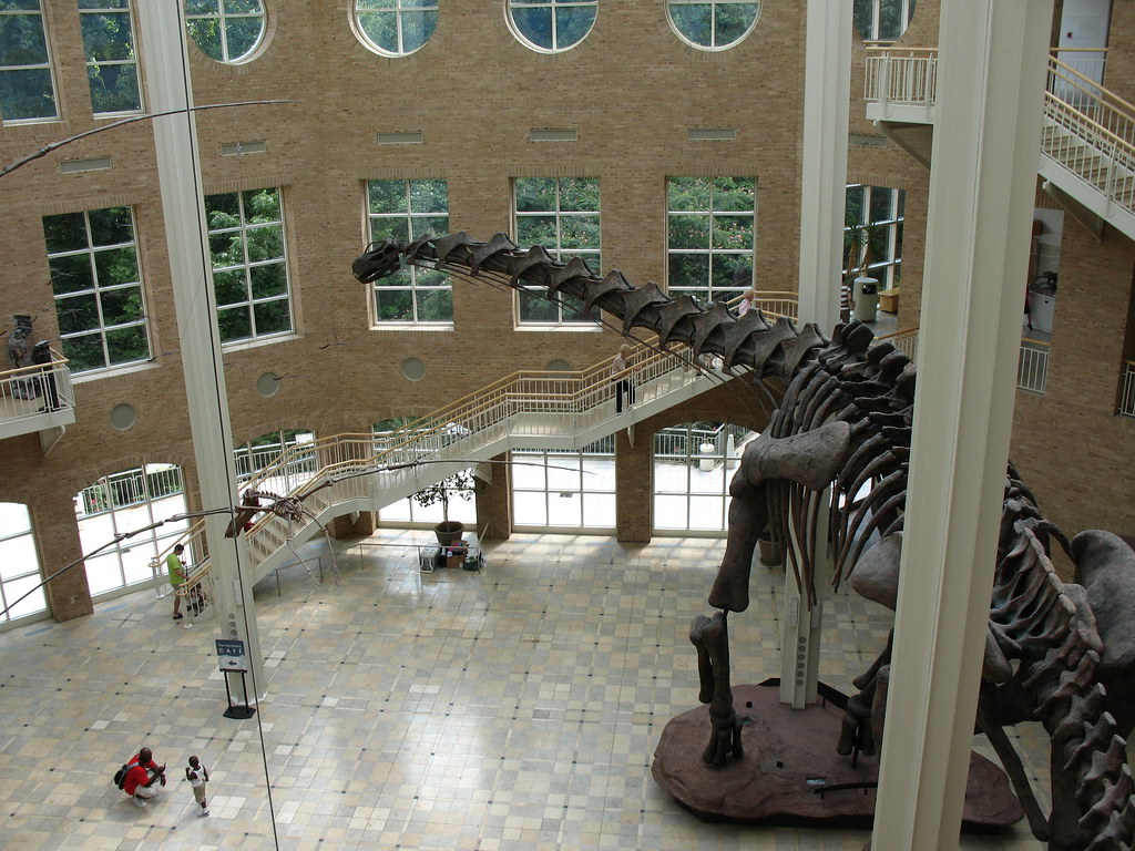 A Giant Jurassic Dinosaur Surprises Scientists